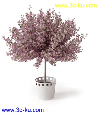 盆景模型,盆栽模型,鲜花,花草,室内盆景,景观植物,花瓶,花盆,植物模型合集的图片