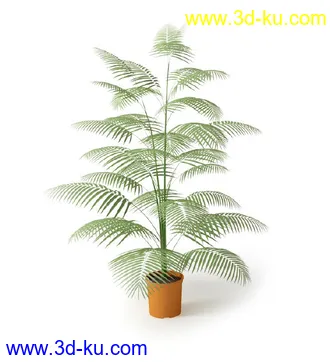 盆景模型,盆栽模型,鲜花,花草,室内盆景,景观植物,花瓶,花盆,植物模型合集的图片