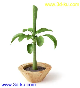 盆景模型,盆栽模型,鲜花,花草,室内盆景,景观植物,花瓶,花盆,植物模型合集的图片