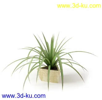 盆景模型,盆栽模型,鲜花,花草,室内盆景,景观植物,花瓶,花盆,植物模型合集的图片