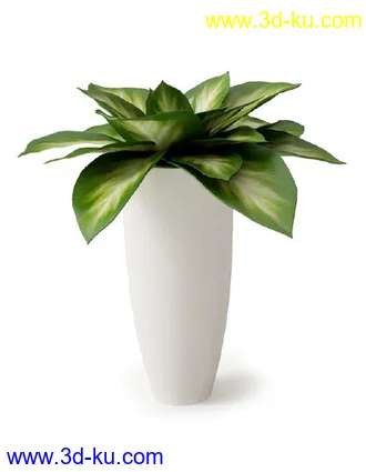 盆景模型,盆栽模型,鲜花,花草,室内盆景,景观植物,花瓶,花盆,植物模型合集的图片