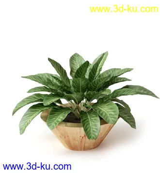 盆景模型,盆栽模型,鲜花,花草,室内盆景,景观植物,花瓶,花盆,植物模型合集的图片