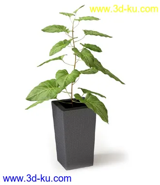 盆景模型,盆栽模型,鲜花,花草,室内盆景,景观植物,花瓶,花盆,植物模型合集的图片