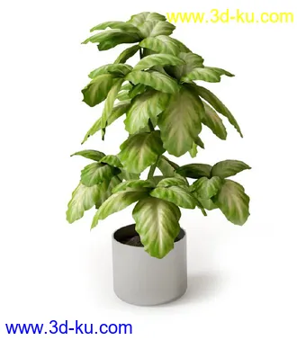 盆景模型,盆栽模型,鲜花,花草,室内盆景,景观植物,花瓶,花盆,植物模型合集的图片