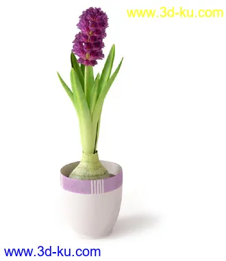 盆景模型,盆栽模型,鲜花,花草,室内盆景,景观植物,花瓶,花盆,植物模型合集的图片