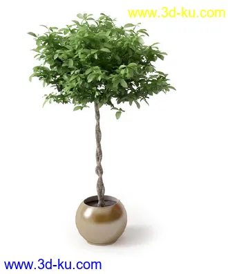 盆景模型,盆栽模型,鲜花,花草,室内盆景,景观植物,花瓶,花盆,植物模型合集的图片