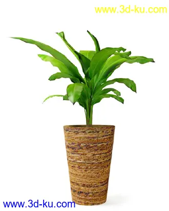 花草树模型,盆栽模型,盆景模型,花瓶,花盆,植物模型共65个的图片2