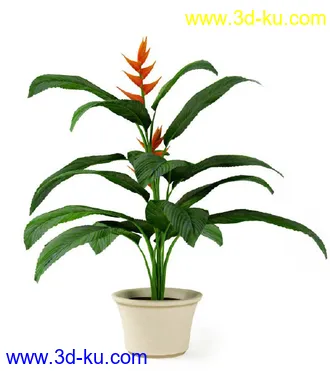 花草树模型,盆栽模型,盆景模型,花瓶,花盆,植物模型共65个的图片5