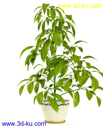 花草树模型,盆栽模型,盆景模型,花瓶,花盆,植物模型共65个的图片6