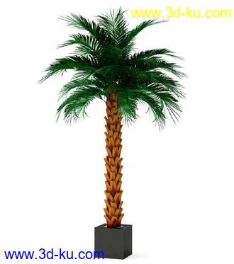 花草树模型,盆栽模型,盆景模型,花瓶,花盆,植物模型共65个的图片7