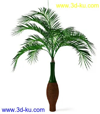 花草树模型,盆栽模型,盆景模型,花瓶,花盆,植物模型共65个的图片8