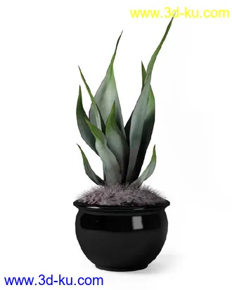 花草树模型,盆栽模型,盆景模型,花瓶,花盆,植物模型共65个的图片11