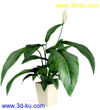 花草树模型,盆栽模型,盆景模型,花瓶,花盆,植物模型共65个的图片17