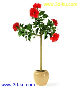 花草树模型,盆栽模型,盆景模型,花瓶,花盆,植物模型共65个的图片18