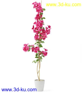 花草树模型,盆栽模型,盆景模型,花瓶,花盆,植物模型共65个的图片21