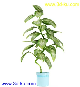 花草树模型,盆栽模型,盆景模型,花瓶,花盆,植物模型共65个的图片22