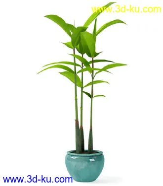 花草树模型,盆栽模型,盆景模型,花瓶,花盆,植物模型共65个的图片23