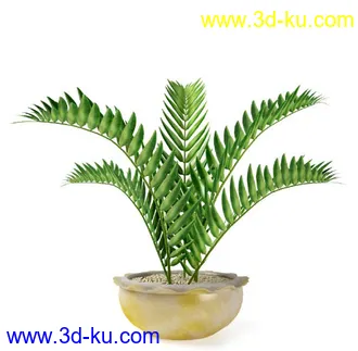 花草树模型,盆栽模型,盆景模型,花瓶,花盆,植物模型共65个的图片25