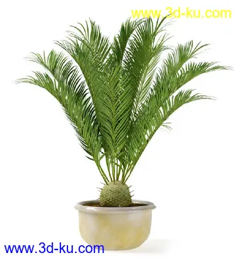 花草树模型,盆栽模型,盆景模型,花瓶,花盆,植物模型共65个的图片27