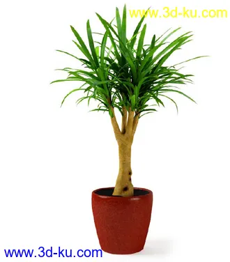 花草树模型,盆栽模型,盆景模型,花瓶,花盆,植物模型共65个的图片28