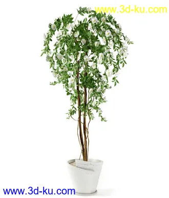 花草树模型,盆栽模型,盆景模型,花瓶,花盆,植物模型共65个的图片29