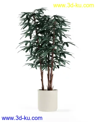 花草树模型,盆栽模型,盆景模型,花瓶,花盆,植物模型共65个的图片60