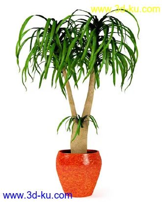 花草树模型,盆栽模型,盆景模型,花瓶,花盆,植物模型共65个的图片62