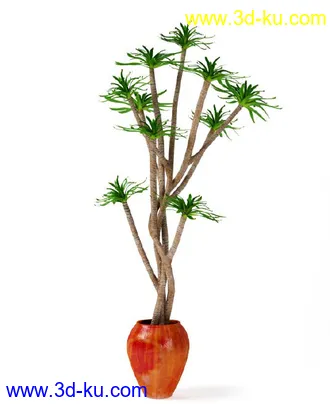 花草树模型,盆栽模型,盆景模型,花瓶,花盆,植物模型共65个的图片63