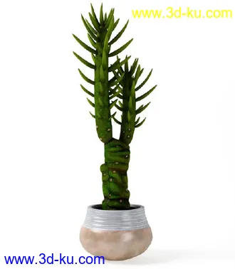 花草树模型,盆栽模型,盆景模型,花瓶,花盆,植物模型共65个的图片65