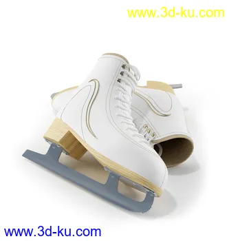 棒球,棒球棍,棒球手套,垒球,棒球场,冰球场,冰球鞋,冰球棍,溜冰鞋,冰壶,毛刷,体育模型合集的图片1