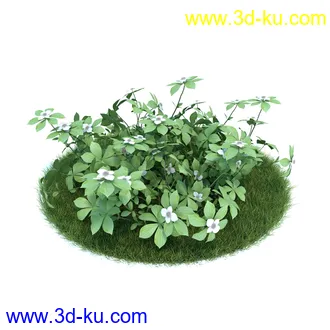 白及,牛舌草,金盏花,矢车菊,君子兰,铃兰,草茱萸,荷兰番红花,黃金番红花,植物模型合集的图片8