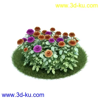 小花仙客来,大丽花,须苞石竹,荷包牡丹,毛地黄,黄色猪牙花,雪钟花,植物模型合集的图片
