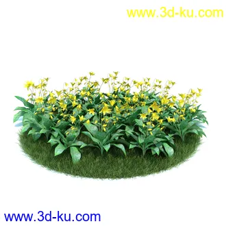 小花仙客来,大丽花,须苞石竹,荷包牡丹,毛地黄,黄色猪牙花,雪钟花,植物模型合集的图片