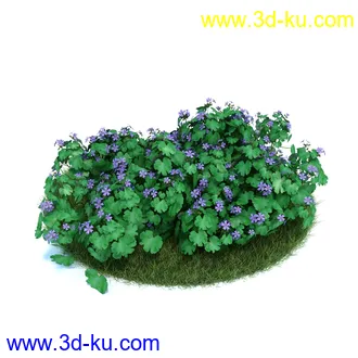 小花仙客来,大丽花,须苞石竹,荷包牡丹,毛地黄,黄色猪牙花,雪钟花,植物模型合集的图片