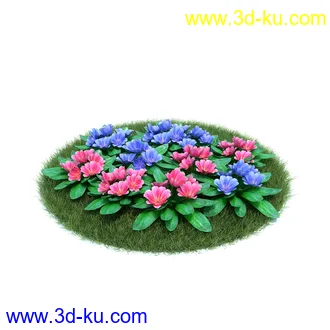 天竺葵,七子花,狭叶玉簪,苏丹凤仙花,血苋,鸢尾,山月桂,马齿苋,植物模型合集的图片