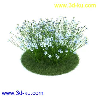 百合,宿根亚麻,藿香叶绿绒蒿,月见草,春脐果草,虎眼万年青,小天蓝绣球,植物模型合集的图片