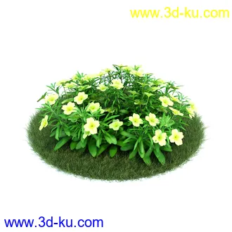 百合,宿根亚麻,藿香叶绿绒蒿,月见草,春脐果草,虎眼万年青,小天蓝绣球,植物模型合集的图片