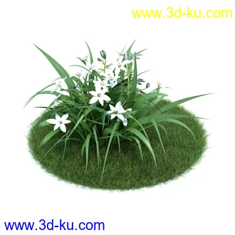 百合,宿根亚麻,藿香叶绿绒蒿,月见草,春脐果草,虎眼万年青,小天蓝绣球,植物模型合集的图片