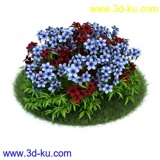 百合,宿根亚麻,藿香叶绿绒蒿,月见草,春脐果草,虎眼万年青,小天蓝绣球,植物模型合集的图片