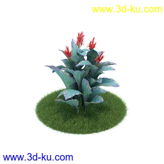 桔梗,樱草,樱茅,虎皮花,旱金莲,郁金香,蔓长春花,三色堇,锦带花,美人蕉,植物模型合集的图片