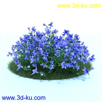 桔梗,樱草,樱茅,虎皮花,旱金莲,郁金香,蔓长春花,三色堇,锦带花,美人蕉,植物模型合集的图片