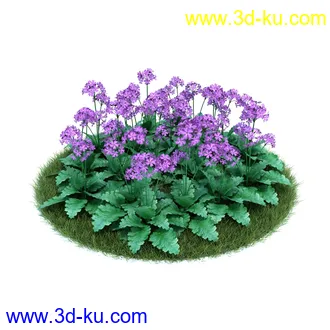 桔梗,樱草,樱茅,虎皮花,旱金莲,郁金香,蔓长春花,三色堇,锦带花,美人蕉,植物模型合集的图片