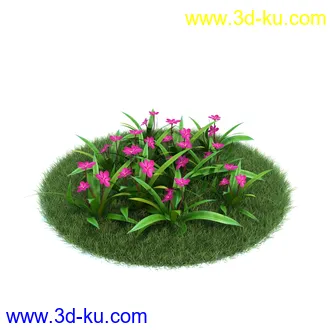 桔梗,樱草,樱茅,虎皮花,旱金莲,郁金香,蔓长春花,三色堇,锦带花,美人蕉,植物模型合集的图片