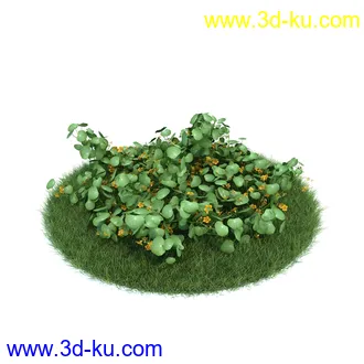 桔梗,樱草,樱茅,虎皮花,旱金莲,郁金香,蔓长春花,三色堇,锦带花,美人蕉,植物模型合集的图片