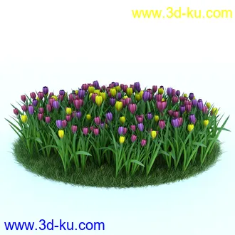 桔梗,樱草,樱茅,虎皮花,旱金莲,郁金香,蔓长春花,三色堇,锦带花,美人蕉,植物模型合集的图片