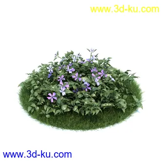 桔梗,樱草,樱茅,虎皮花,旱金莲,郁金香,蔓长春花,三色堇,锦带花,美人蕉,植物模型合集的图片