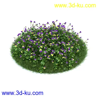 桔梗,樱草,樱茅,虎皮花,旱金莲,郁金香,蔓长春花,三色堇,锦带花,美人蕉,植物模型合集的图片