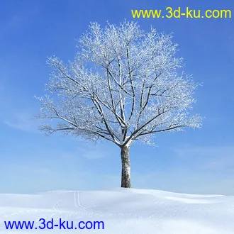 冬天树木模型,雪地,枯木,光秃秃的树,树干,树枝,冬天场景,冬季植物模型合集的图片1