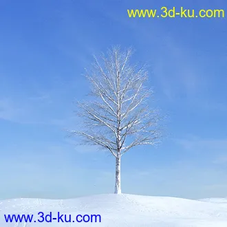 冬天树木模型,雪地,枯木,光秃秃的树,树干,树枝,冬天场景,冬季植物模型合集的图片4