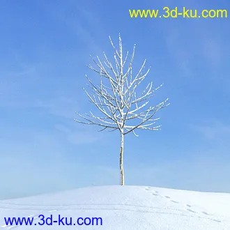 冬天树木模型,雪地,枯木,光秃秃的树,树干,树枝,冬天场景,冬季植物模型合集的图片5